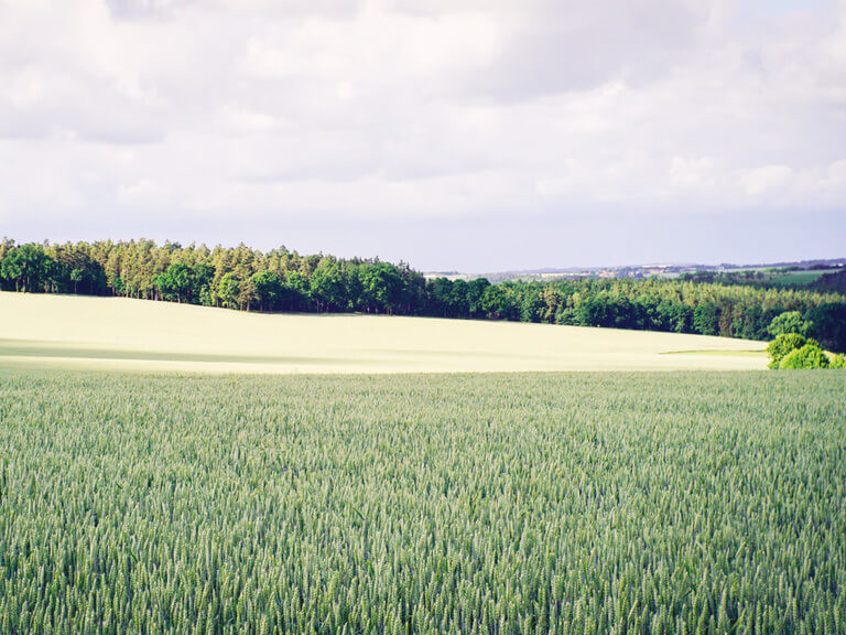 Göttingen